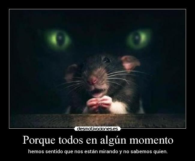 Porque todos en algún momento -