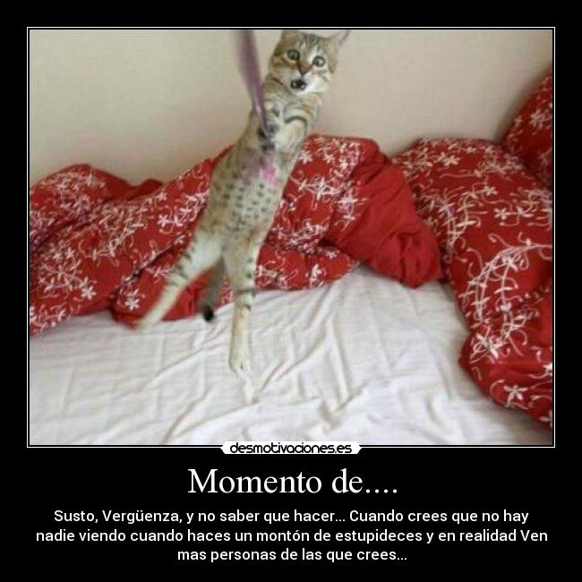 Momento de.... - Susto, Vergüenza, y no saber que hacer... Cuando crees que no hay
nadie viendo cuando haces un montón de estupideces y en realidad Ven
mas personas de las que crees...