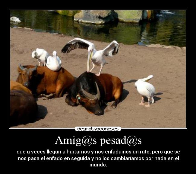 Amig@s pesad@s - 