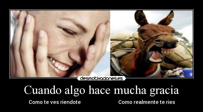 carteles risa caballo ahogandose desmotivaciones