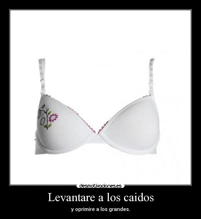Levantare a los caidos - y oprimire a los grandes.