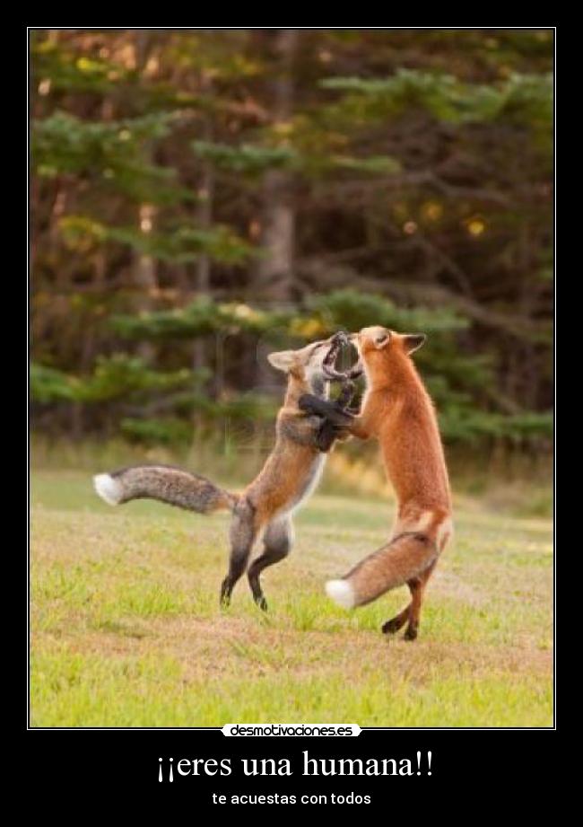 ¡¡eres una humana!! - te acuestas con todos