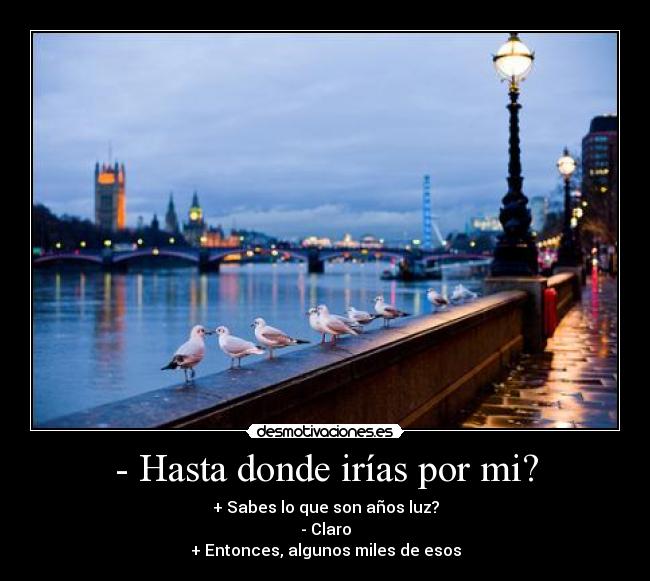 carteles por iria hasta fin del mundo cenaria una noche ahi luego seguiria caminando desmotivaciones