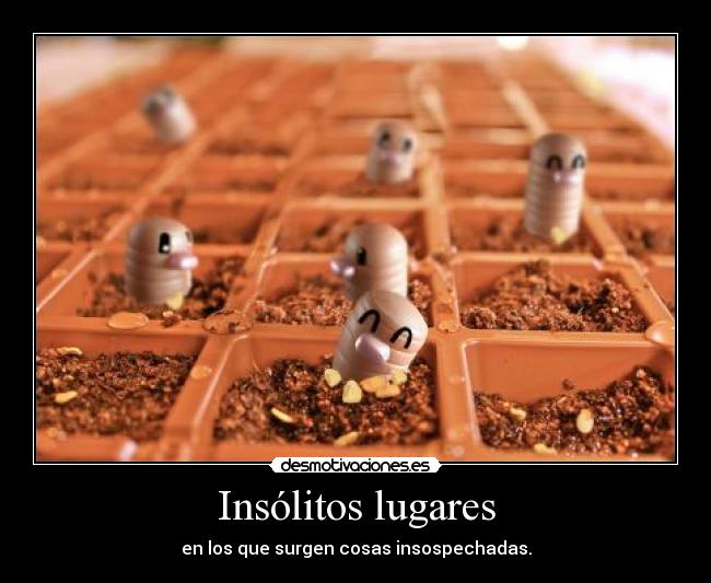 Insólitos lugares -