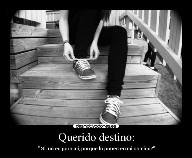 Querido destino: - Si no es para mi, porque lo pones en mi camino?