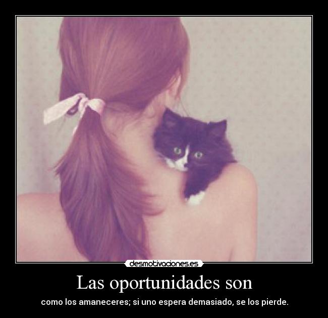 Las oportunidades son - 