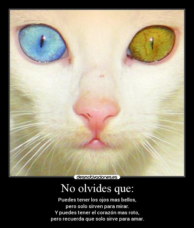 No olvides que: - Puedes tener los ojos mas bellos,
pero solo sirven para mirar.
Y puedes tener el corazón mas roto,
pero recuerda que solo sirve para amar.