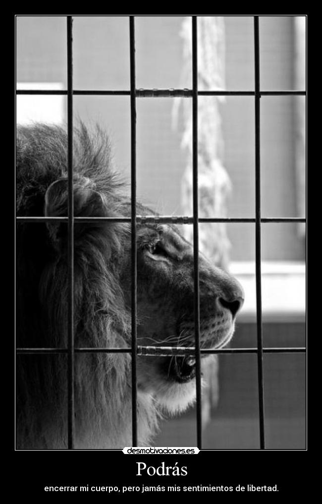 carteles megaleoncartel veces siento encerrado esta sociedad pero mis sentimientos logran liberan desmotivaciones