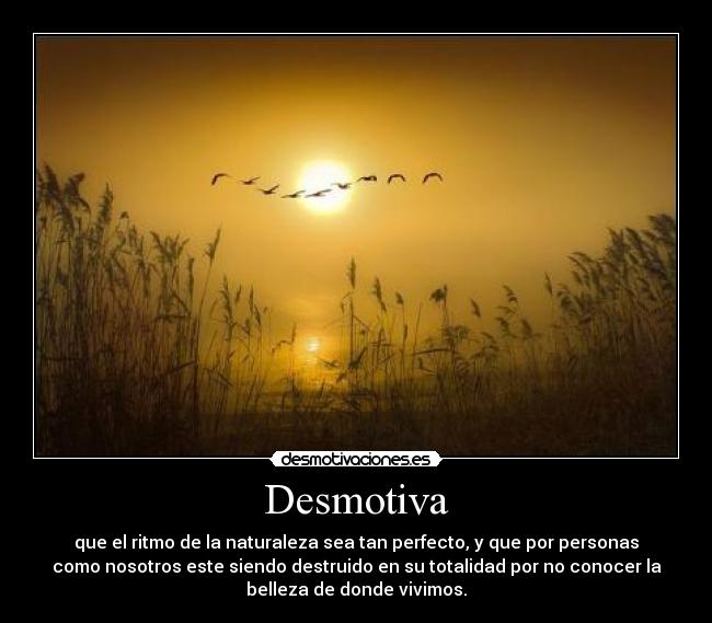 Desmotiva - que el ritmo de la naturaleza sea tan perfecto, y que por personas
como nosotros este siendo destruido en su totalidad por no conocer la
belleza de donde vivimos.