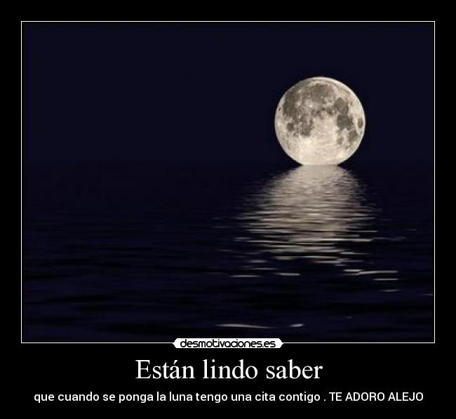 carteles daniiangel desmotivaciones