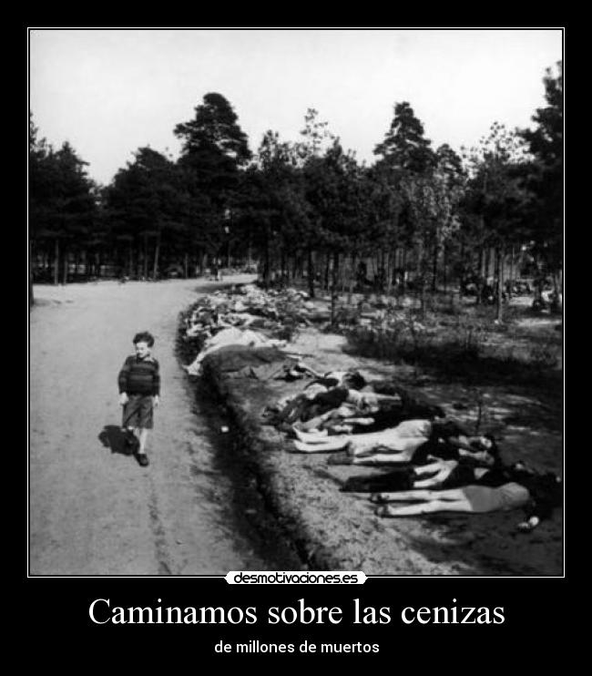 Caminamos sobre las cenizas - 