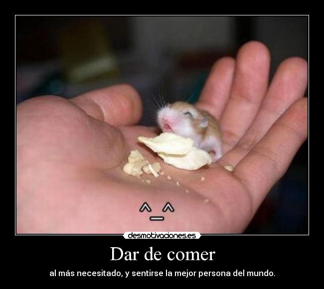 Dar de comer - 