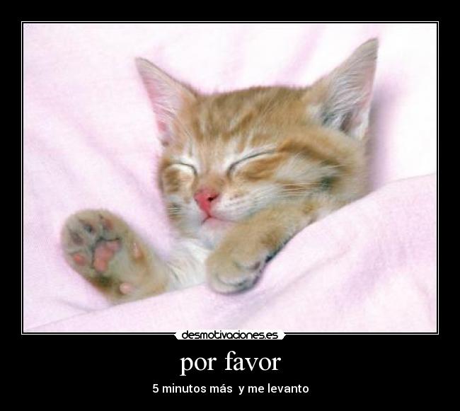 por favor - 