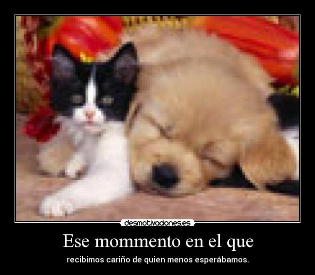 Ese mommento en el que - 