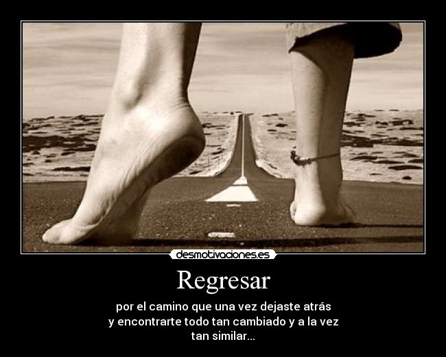 Regresar -
