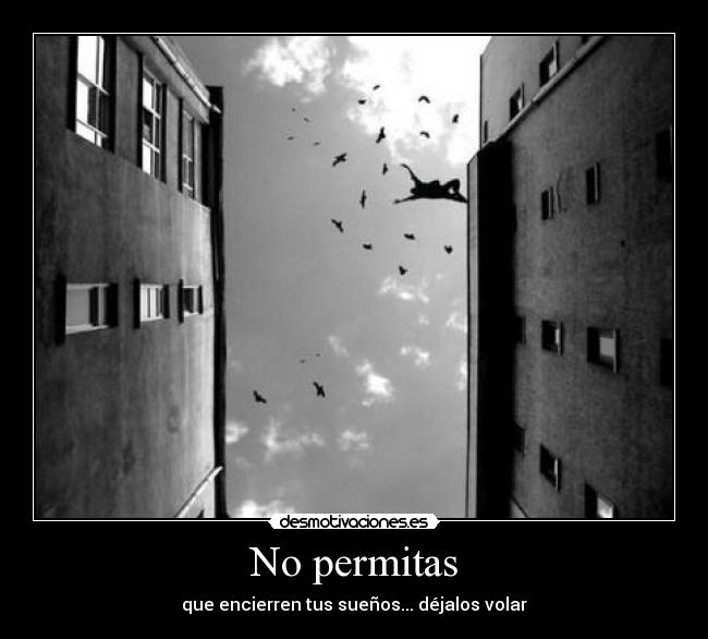 No permitas - 