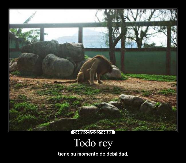 Todo rey - 