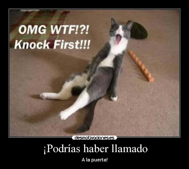 ¡Podrías haber llamado - 