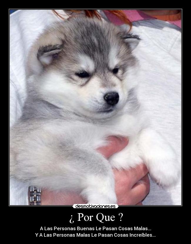 ¿ Por Que ? - A Las Personas Buenas Le Pasan Cosas Malas...
Y A Las Personas Malas Le Pasan Cosas Increíbles...