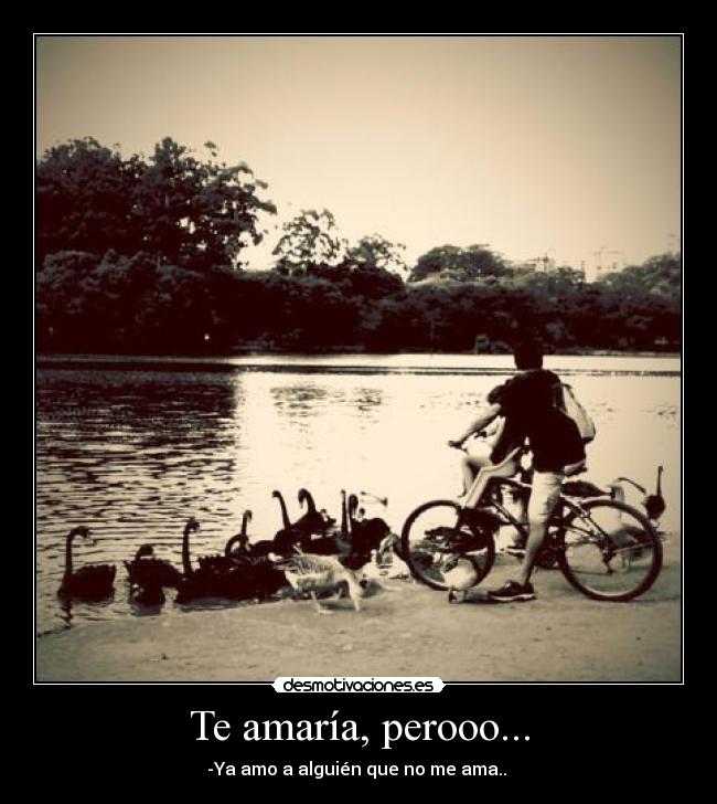 Te amaría, perooo... - -Ya amo a alguién que no me ama.. 