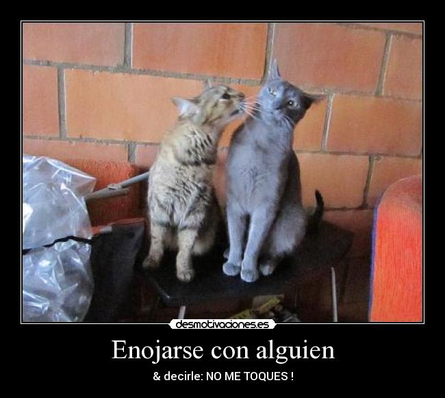 carteles enojarse con alguien desmotivaciones