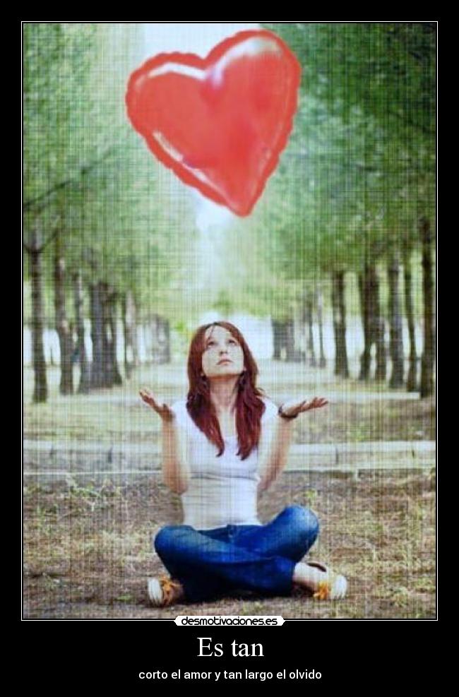 Es tan - corto el amor y tan largo el olvido