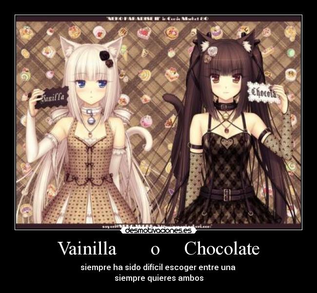 Vainilla       o     Chocolate - 