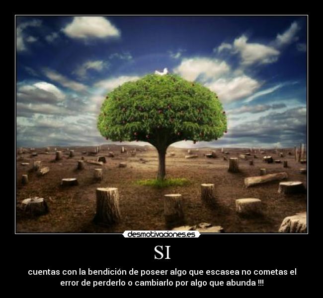 carteles cumple papel desmotivaciones