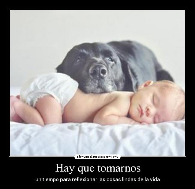 Hay que tomarnos - un tiempo para reflexionar las cosas lindas de la vida