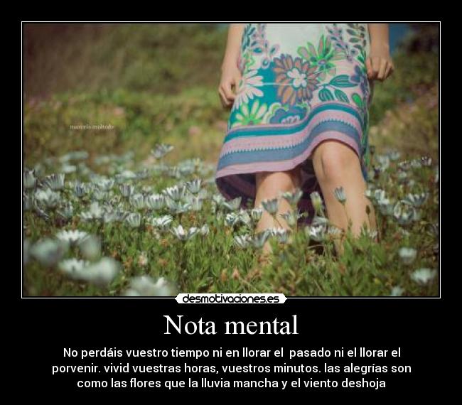Nota mental - No perdáis vuestro tiempo ni en llorar el  pasado ni el llorar el
porvenir. vivid vuestras horas, vuestros minutos. las alegrías son
como las flores que la lluvia mancha y el viento deshoja