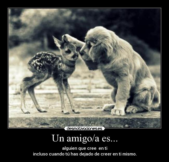 Un amigo/a es... -