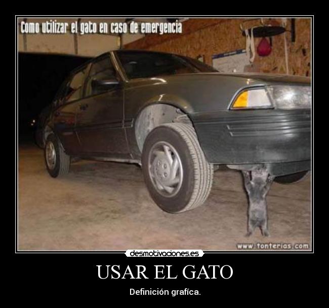 USAR EL GATO - Definición grafíca.