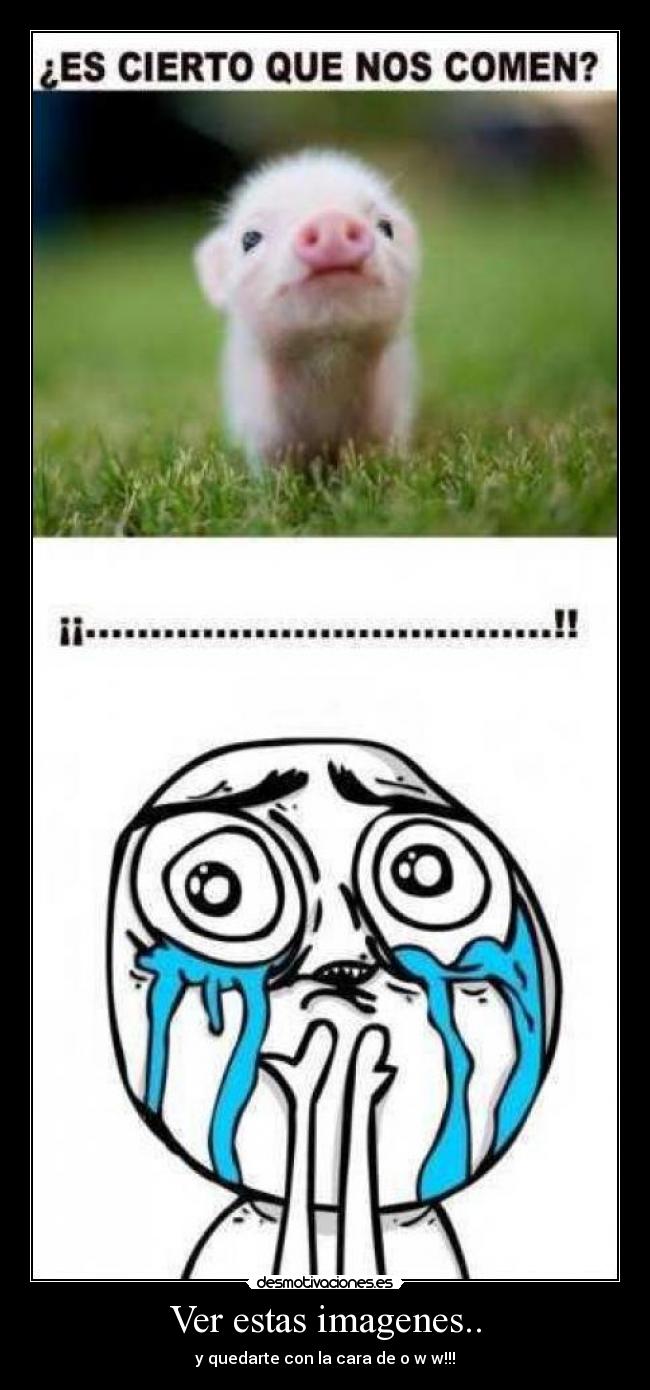 Ver estas imagenes.. - y quedarte con la cara de o w w!!!