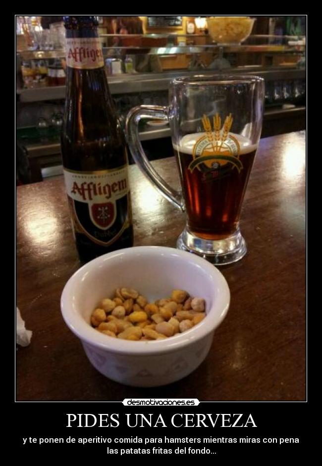 carteles cerveza desmotivaciones