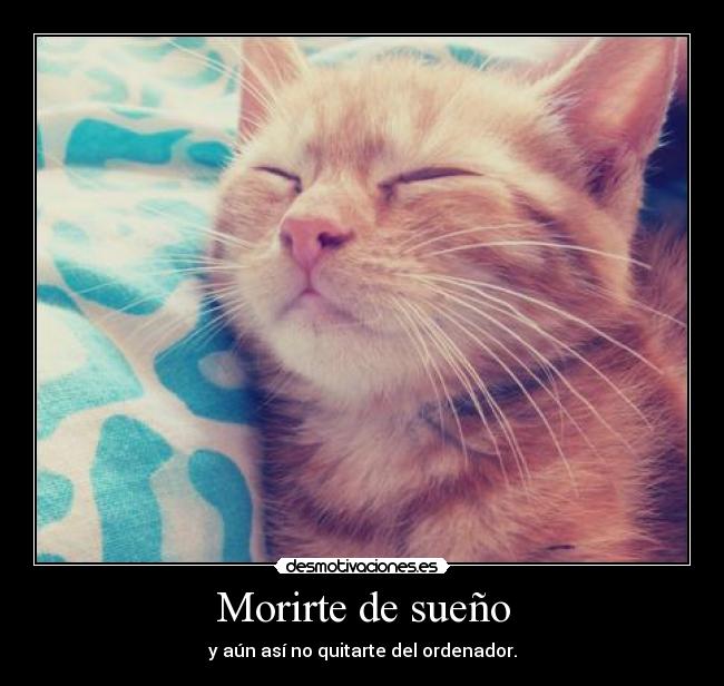 Morirte de sueño - y aún así no quitarte del ordenador.