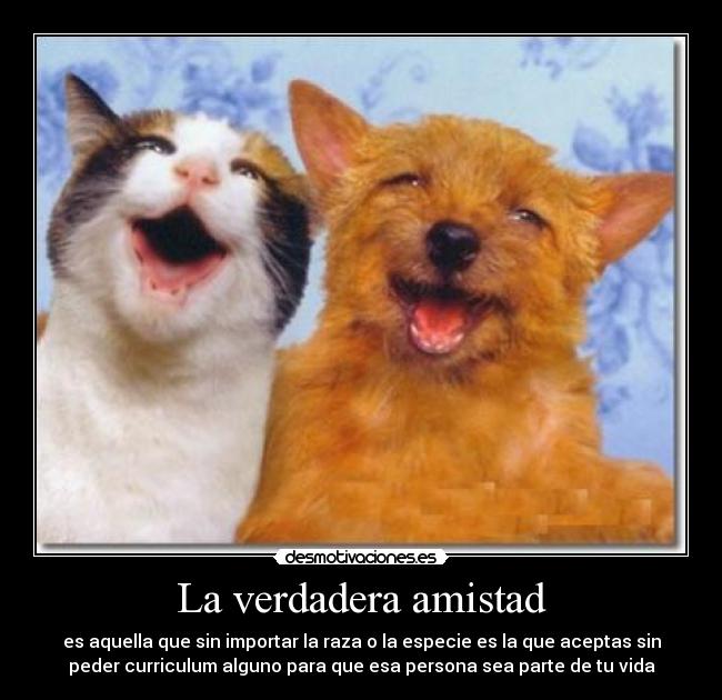 La verdadera amistad - 