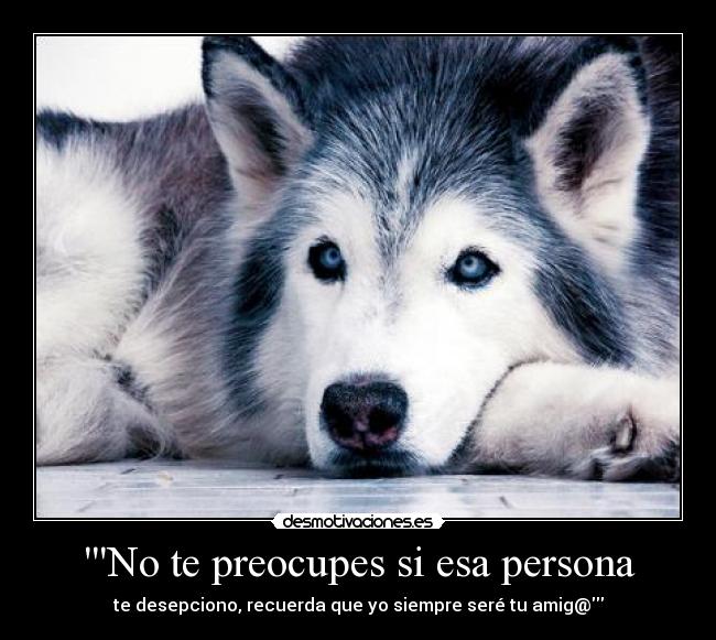 No te preocupes si esa persona - te desepciono, recuerda que yo siempre seré tu amig@