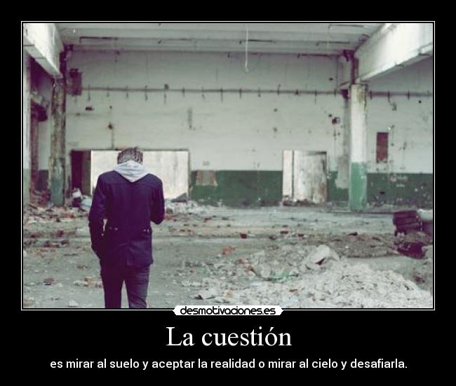 La cuestión - es mirar al suelo y aceptar la realidad o mirar al cielo y desafiarla.