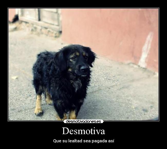 Desmotiva - Que su lealtad sea pagada así