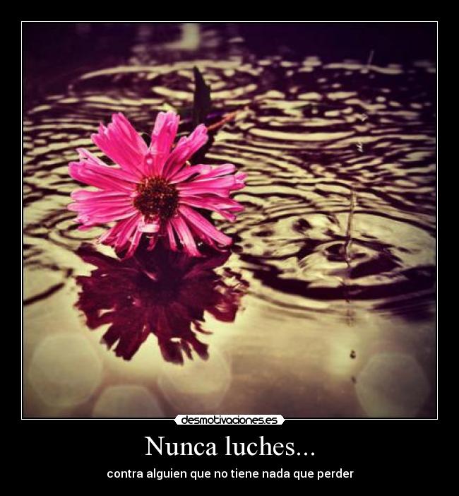 Nunca luches... - contra alguien que no tiene nada que perder