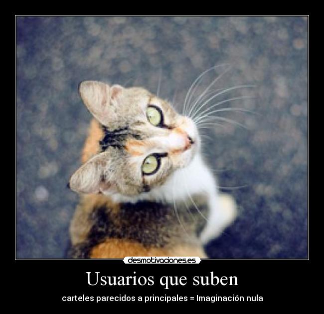 Usuarios que suben - carteles parecidos a principales = Imaginación nula