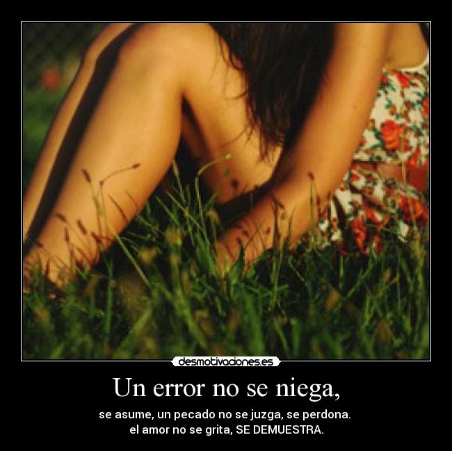 Un error no se niega, - 