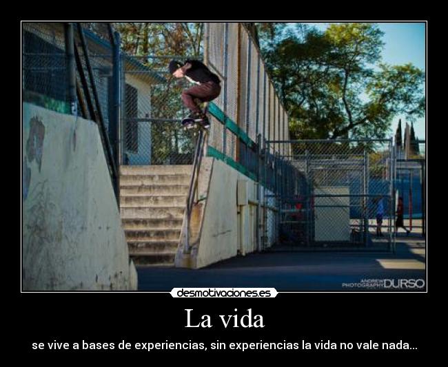 La vida - se vive a bases de experiencias, sin experiencias la vida no vale nada...