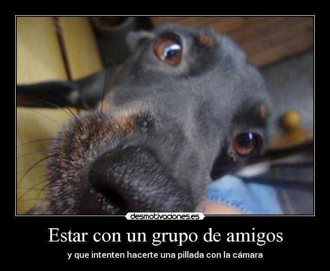 Estar con un grupo de amigos - 