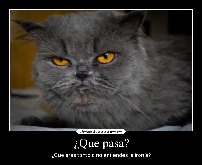 carteles tontos desmotivaciones