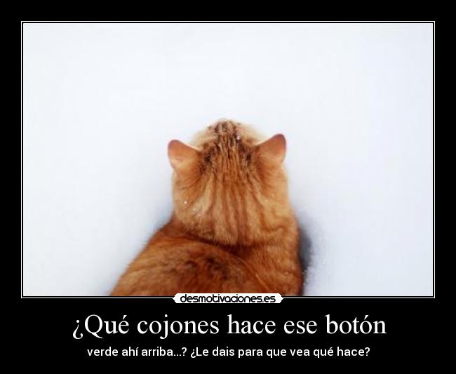 ¿Qué cojones hace ese botón - 