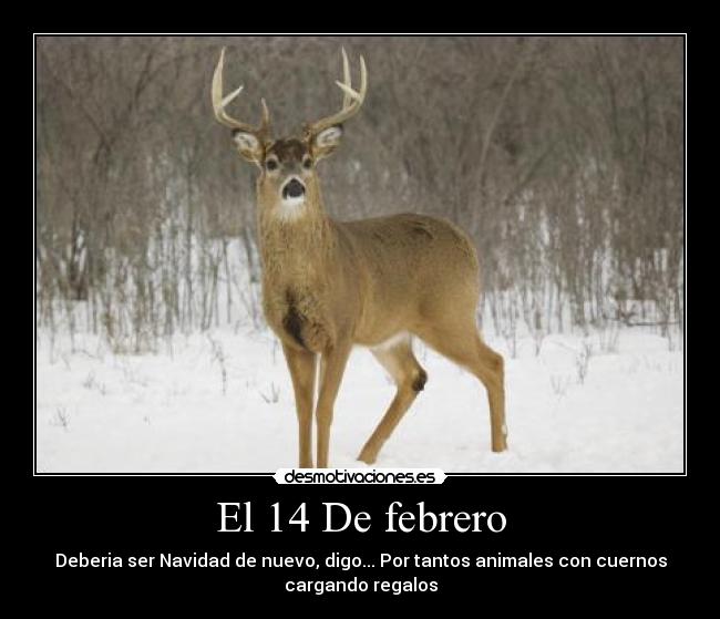 El 14 De febrero - 