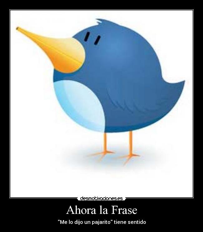Ahora la Frase - Me lo dijo un pajarito tiene sentido