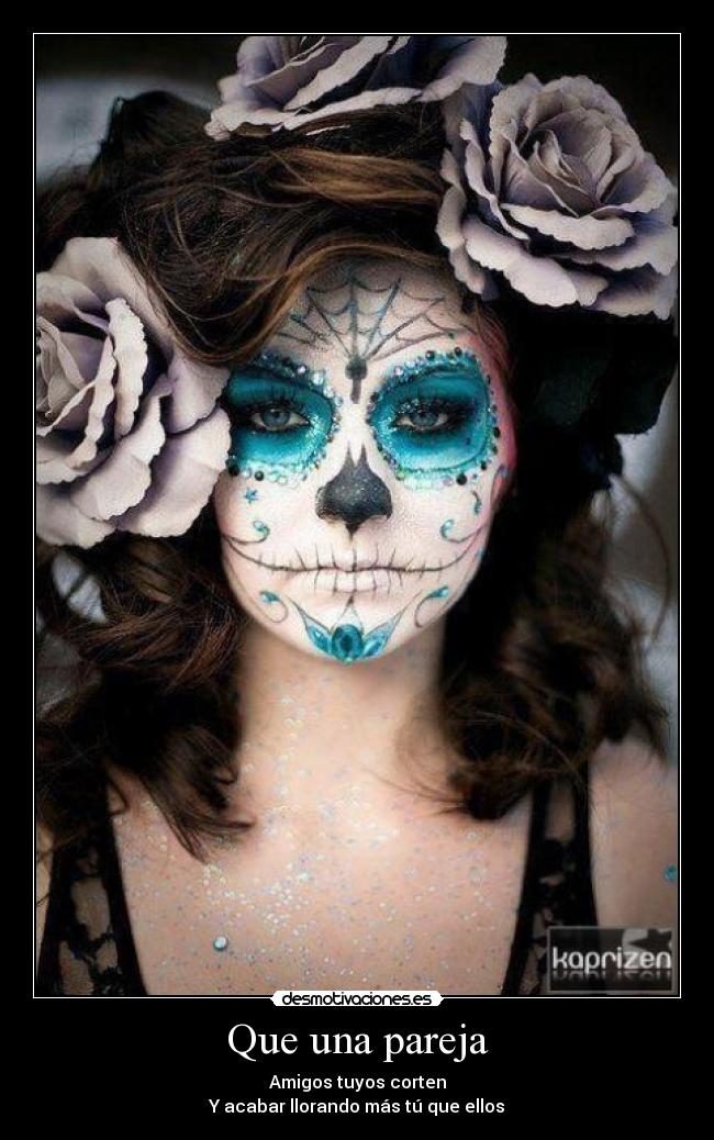 carteles janette kagamine harta del mundo desmotivaciones