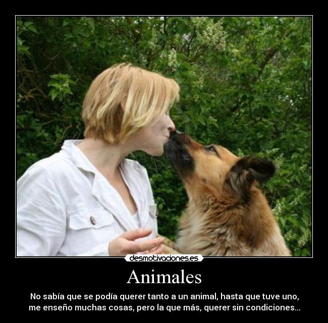 Animales - No sabía que se podía querer tanto a un animal, hasta que tuve uno,
me enseño muchas cosas, pero la que más, querer sin condiciones...